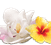 Air Wick Floral Fragrances